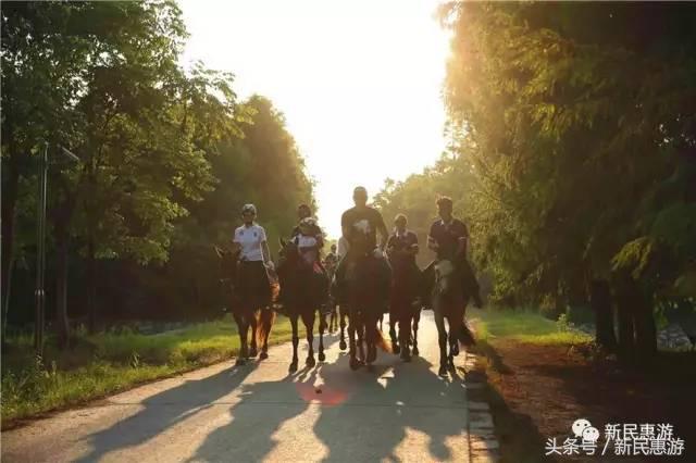 奉贤海湾：上海绝美的后花园