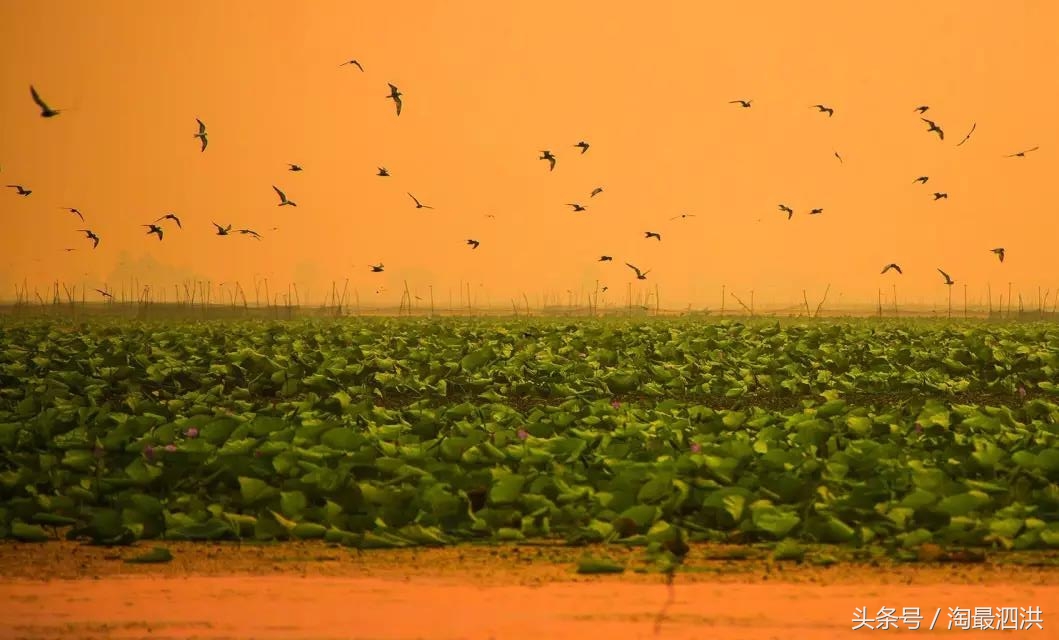 洪泽湖淮上江南,人间的天堂洪泽湖
