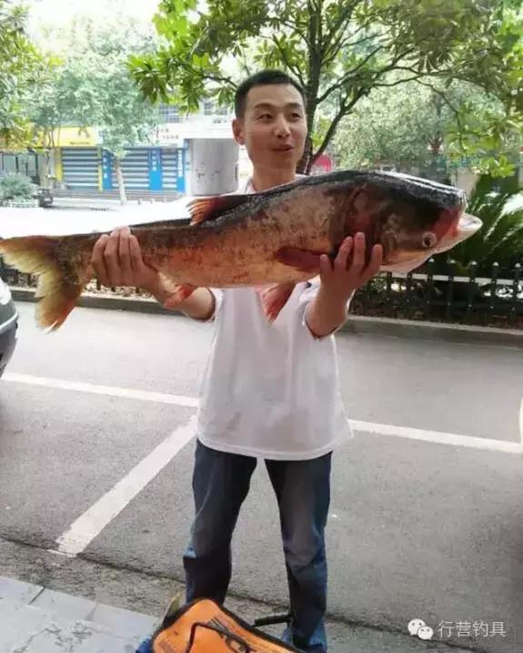 半价活动快来抢购,半价狂欢活动来袭