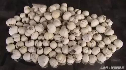 沈阳必买十大特产去哪买,来海南儋州必买的十大特产