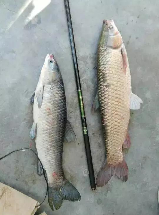 半价活动快来抢购,半价狂欢活动来袭