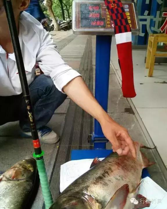 半价活动快来抢购,半价狂欢活动来袭