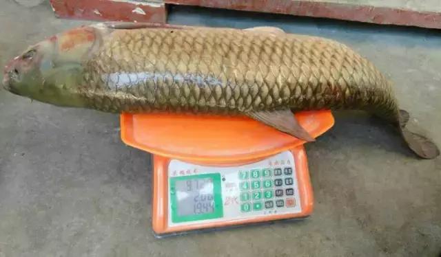 半价活动快来抢购,半价狂欢活动来袭