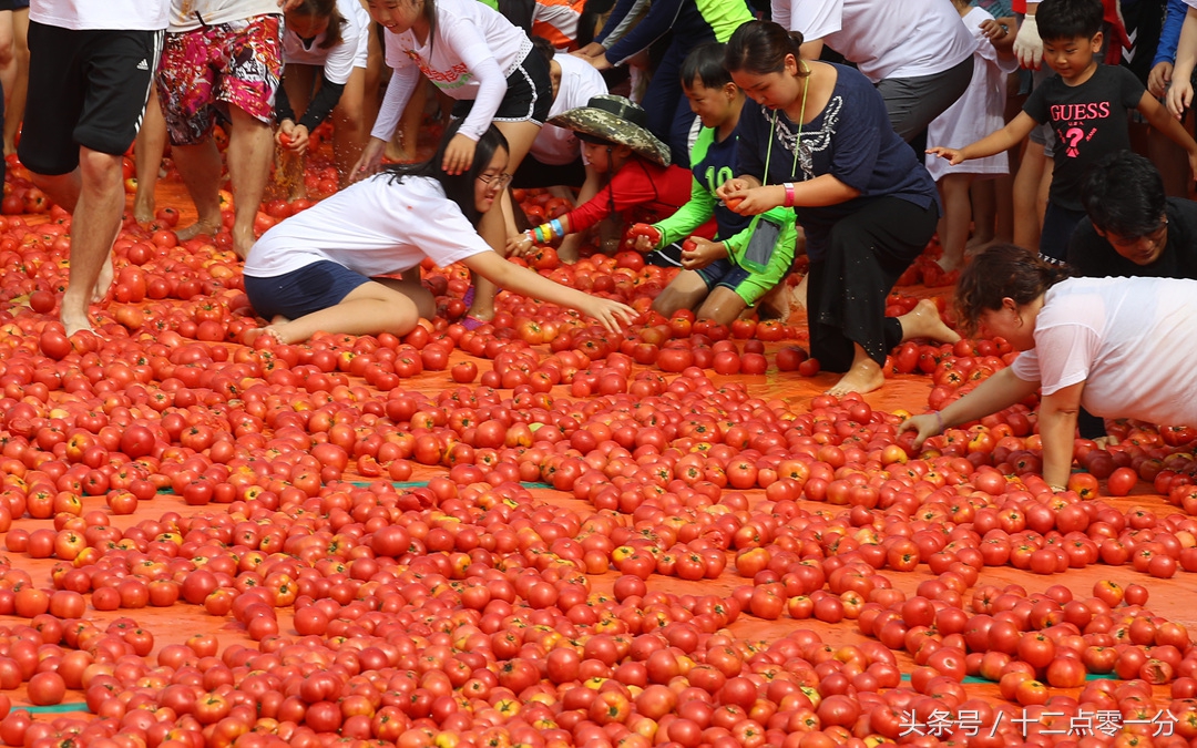 西红柿中有金戒指？8月8日后强制下架日文游戏？结果已考证