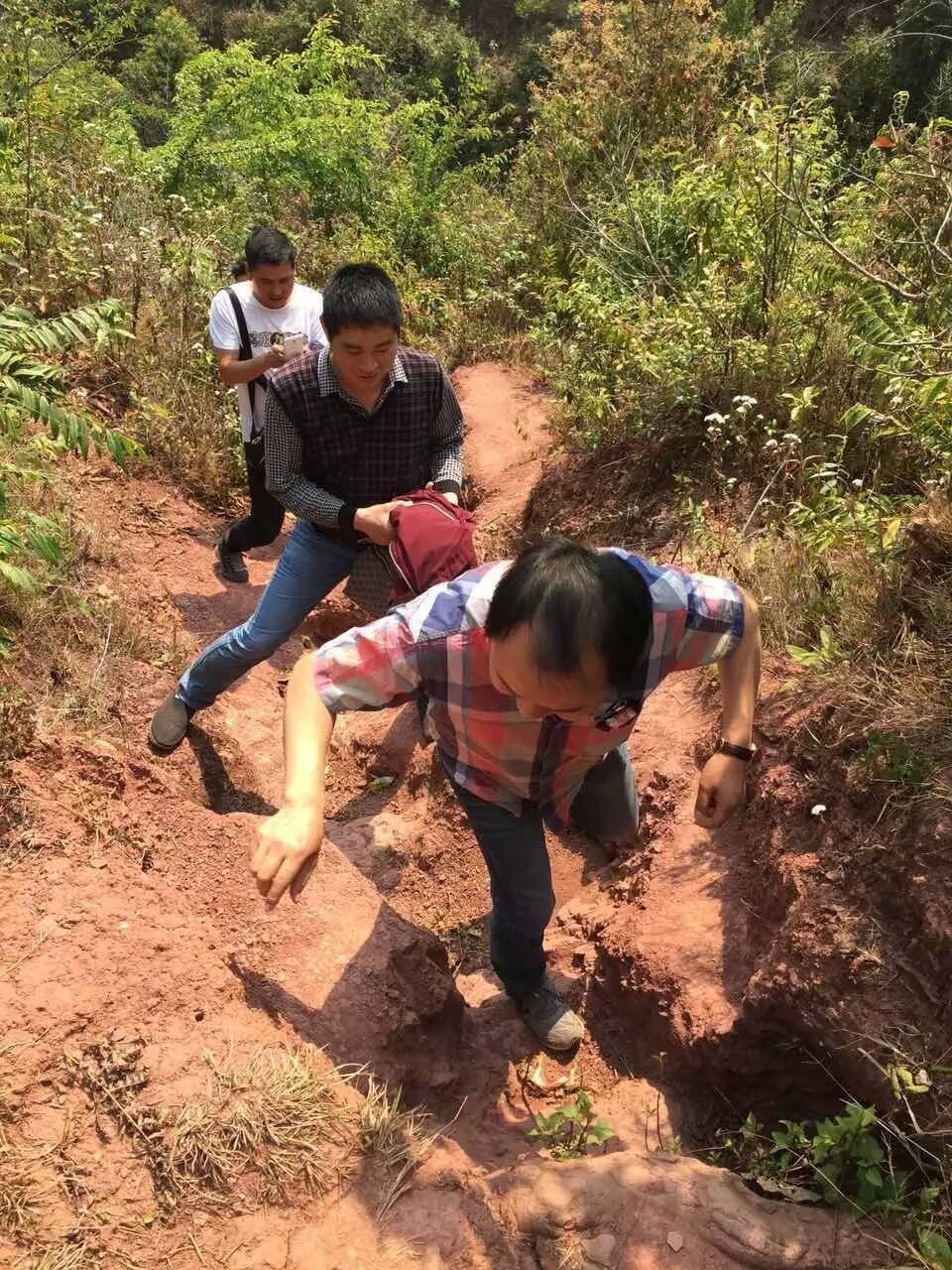 扶贫云南茶,云南茶叶今日热门