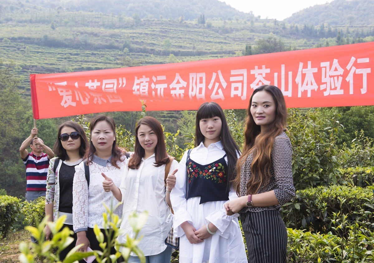 扶贫云南茶,云南茶叶今日热门