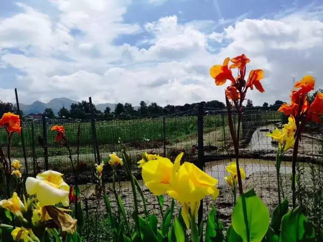 行走山水之间远离城市喧嚣,行走在浙江温州风景