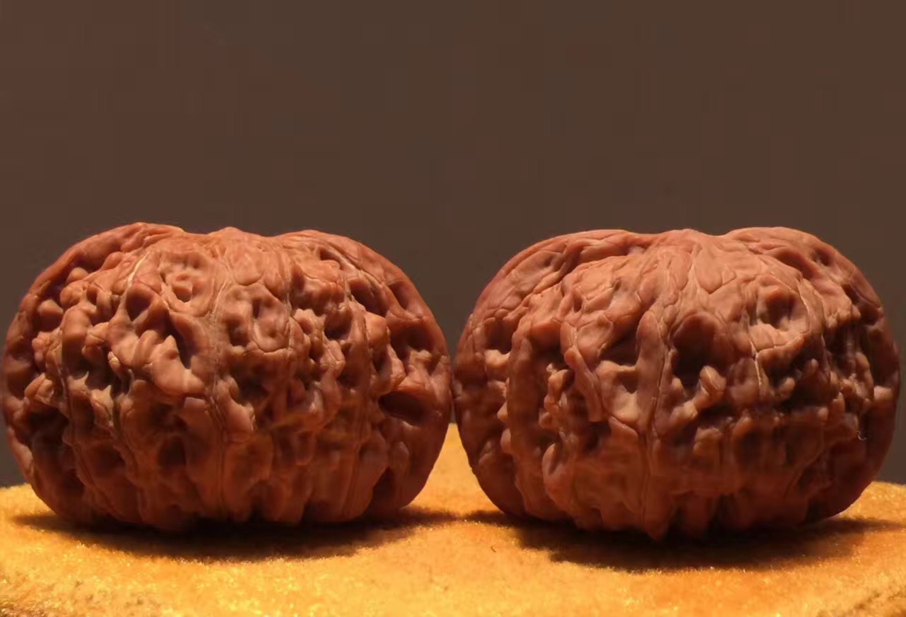 正磨盘狮子头和歪磨盘的区别,玩了十年的磨盘狮子头