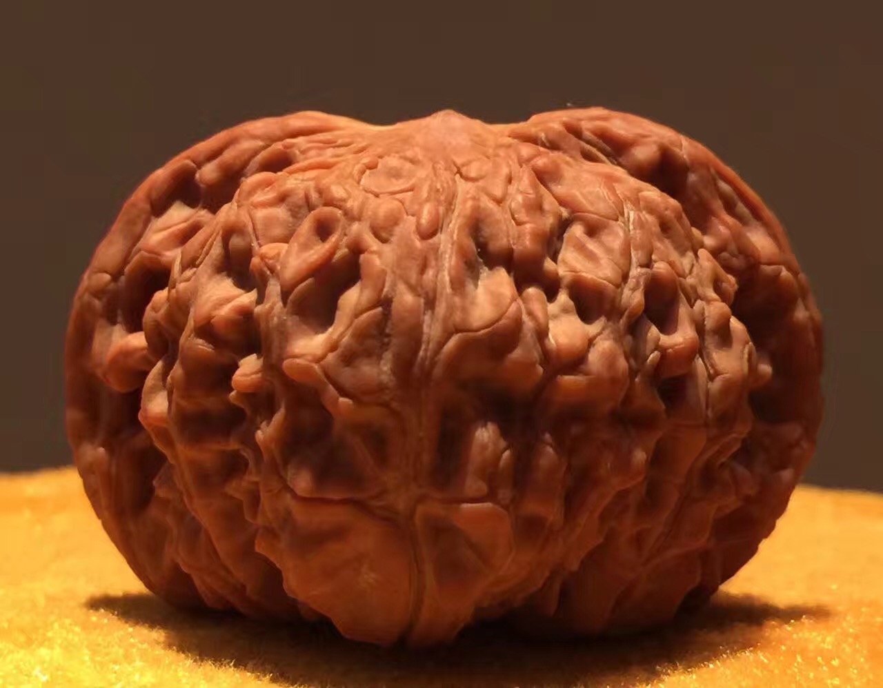 正磨盘狮子头和歪磨盘的区别,玩了十年的磨盘狮子头