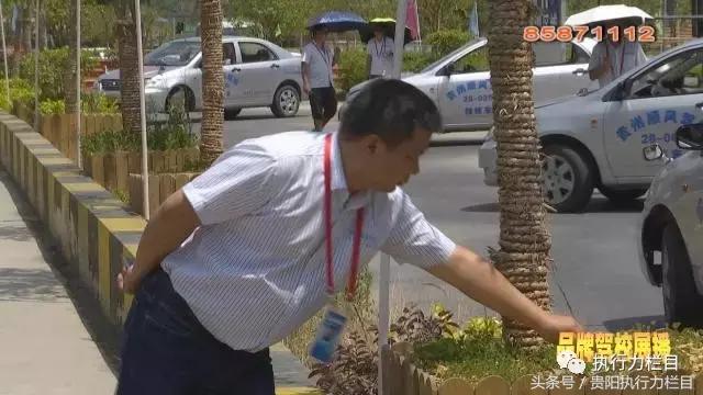 顺风驾校王勇刚视频,顺风驾校成员