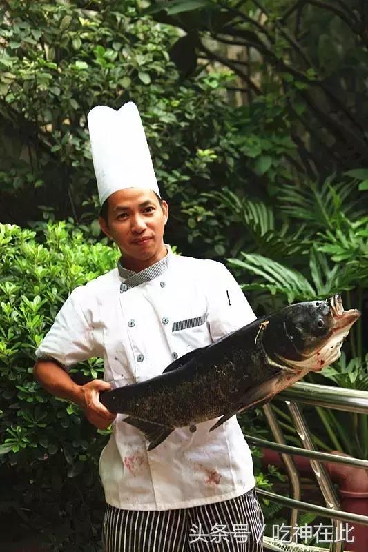 长洲岛竟有座半山望江恐龙主题酒店！吃住玩样样齐！