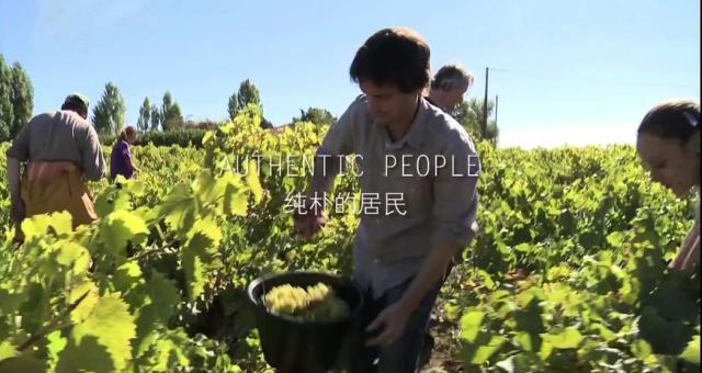 WineShow——“躺着学葡萄酒”的新姿势