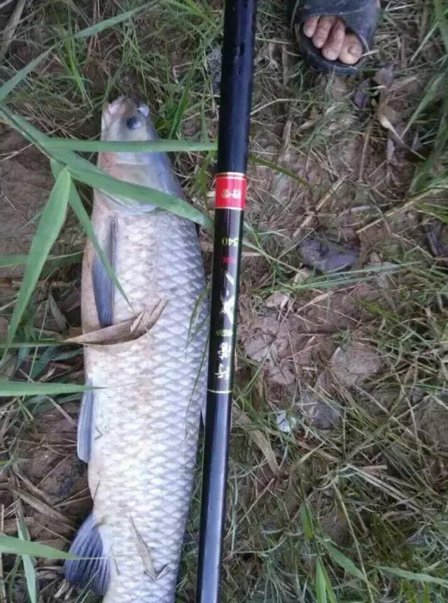 半价活动快来抢购,半价狂欢活动来袭