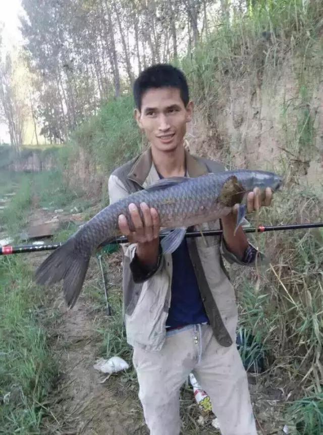 半价活动快来抢购,半价狂欢活动来袭