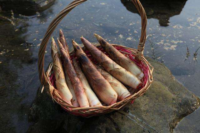 用竹子做的美食,由竹子诞生的四种美食