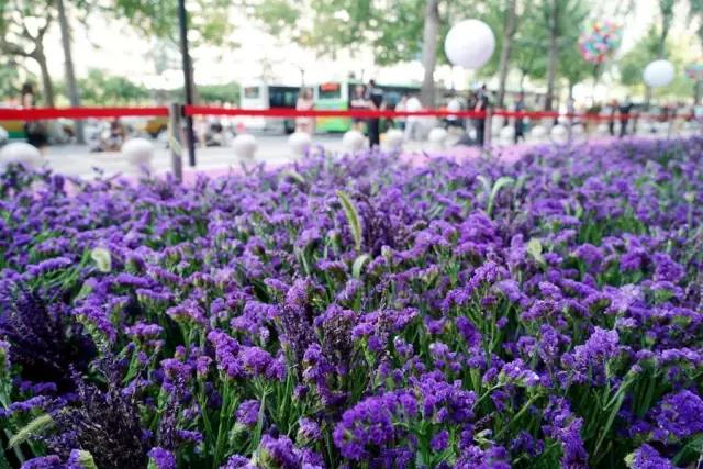 鑸屽皷涓婄殑鍗楅棬,鑸屽皷涓婄殑鍗楅棬缇庨鍥㈣喘