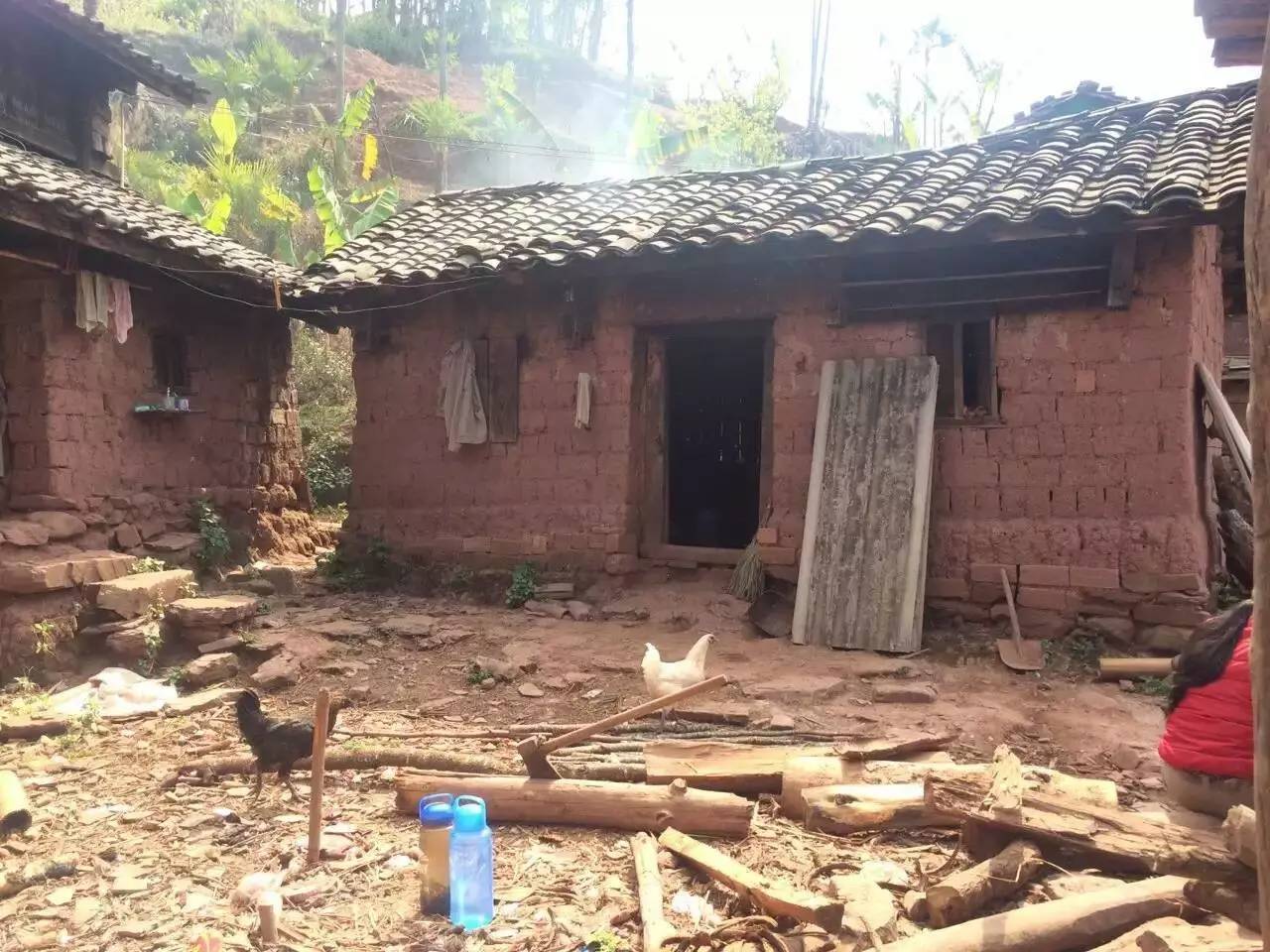 扶贫云南茶,云南茶叶今日热门