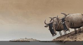 初春时节，西伯利亚寒气袭人，a国间谍史密夫执行任务时，失手被擒，其后被关在高原上的木屋内