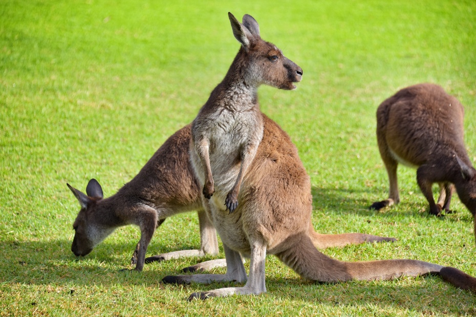 南大洋的深海,南大洋海域
