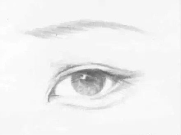 眼综合现在有几种眼型,眼型分几种类型图解