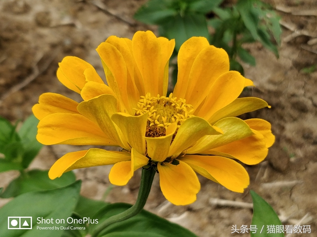 一加5全面屏旗舰手机,一加5深度评测