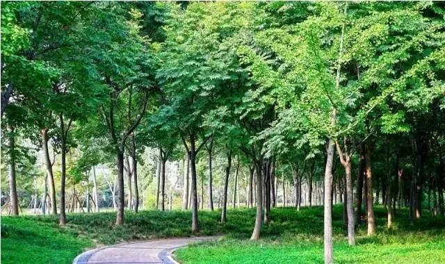 魅力郑州郑东新区,中原区郑州特色