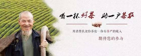 扶贫云南茶,云南茶叶今日热门