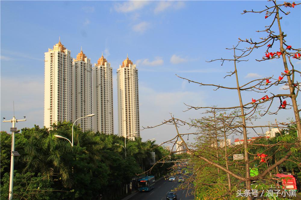 南宁第一豪宅凯旋一号,凯旋一号上水湾南宁多少钱一平