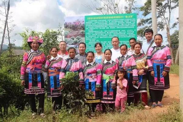 扶贫云南茶,云南茶叶今日热门