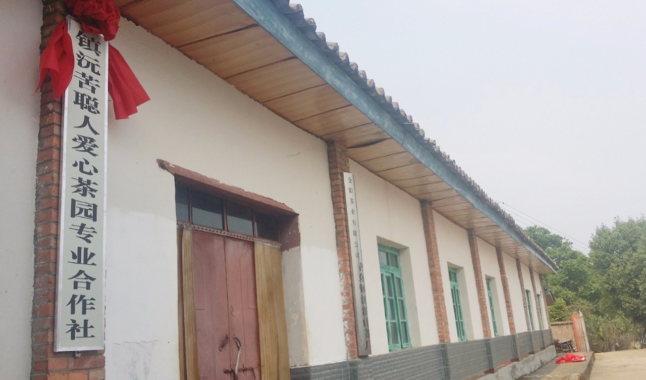 扶贫云南茶,云南茶叶今日热门