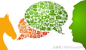 训练马的最佳时间,训练马的耐力技巧