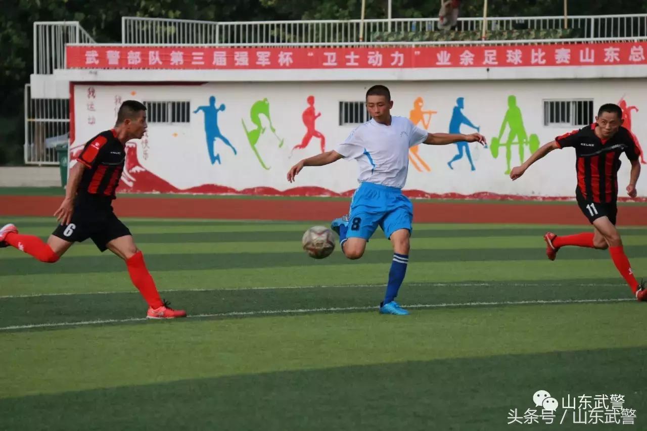 卫士动力110,卫士动力