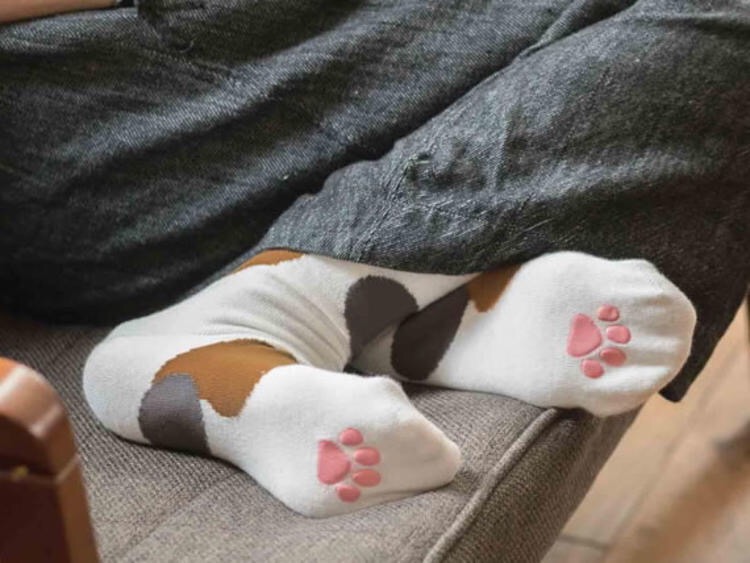 猫咪可以玩的抓宠小游戏,作为猫奴