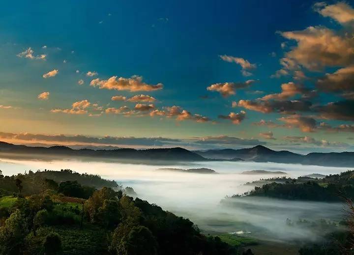 扶贫云南茶,云南茶叶今日热门