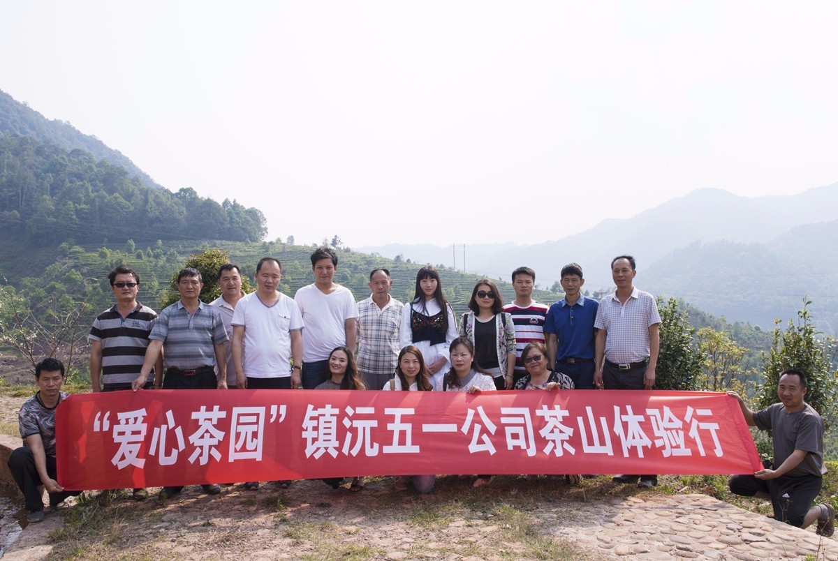 扶贫云南茶,云南茶叶今日热门