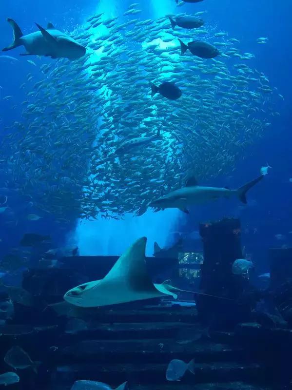 阿联酋阿布扎比和迪拜旅游,阿联酋阿布扎比深度游