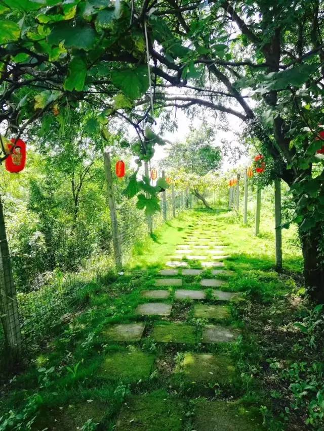 行走山水之间远离城市喧嚣,行走在浙江温州风景