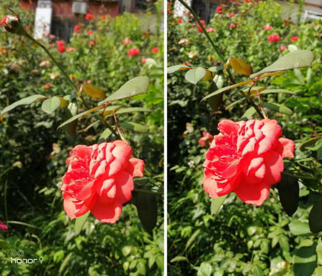 荣耀9和荣耀v9区别在哪,荣耀9跟荣耀v9