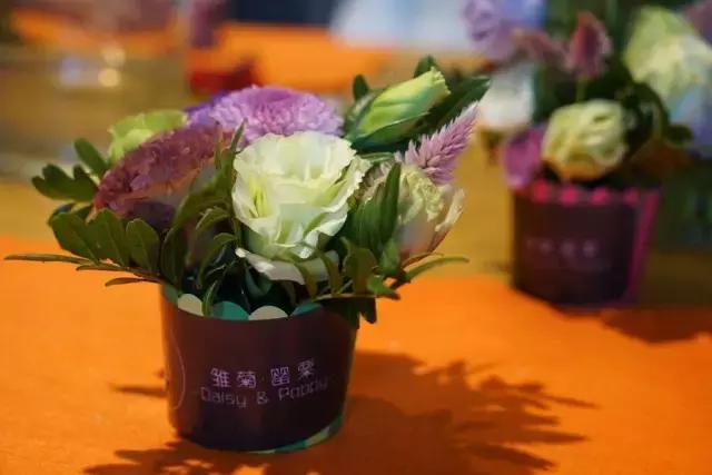 鑸屽皷涓婄殑鍗楅棬,鑸屽皷涓婄殑鍗楅棬缇庨鍥㈣喘