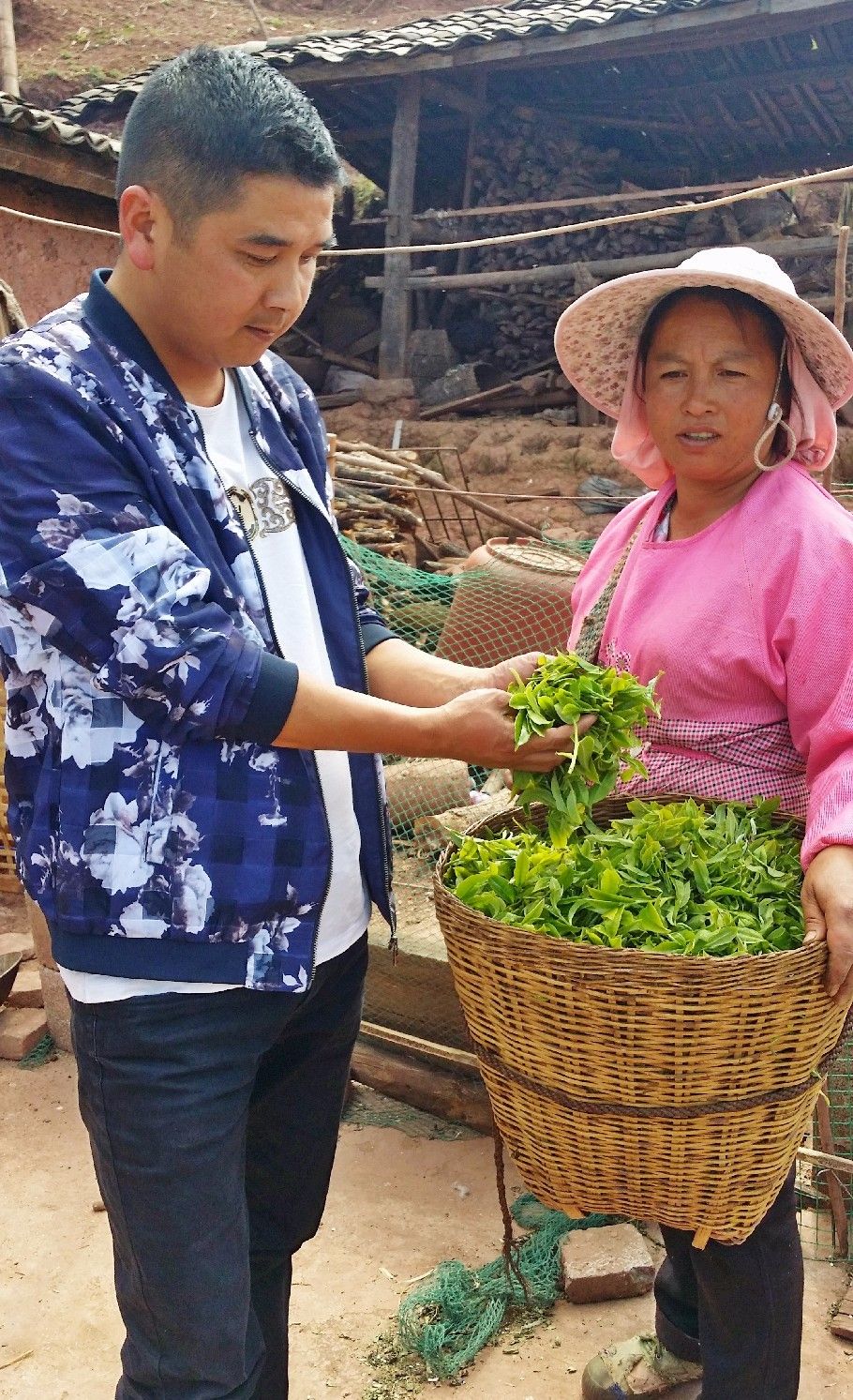 扶贫云南茶,云南茶叶今日热门