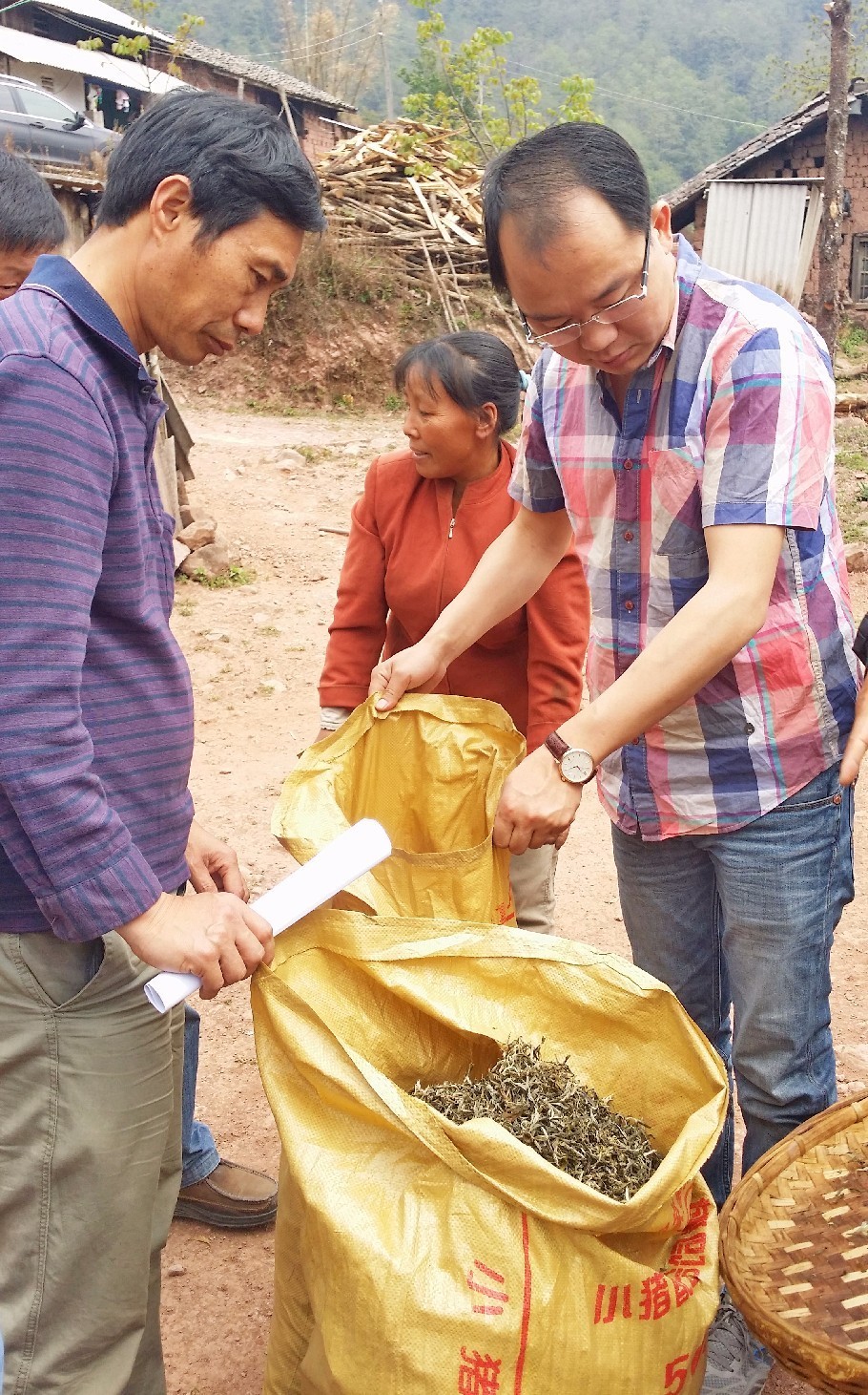 扶贫云南茶,云南茶叶今日热门