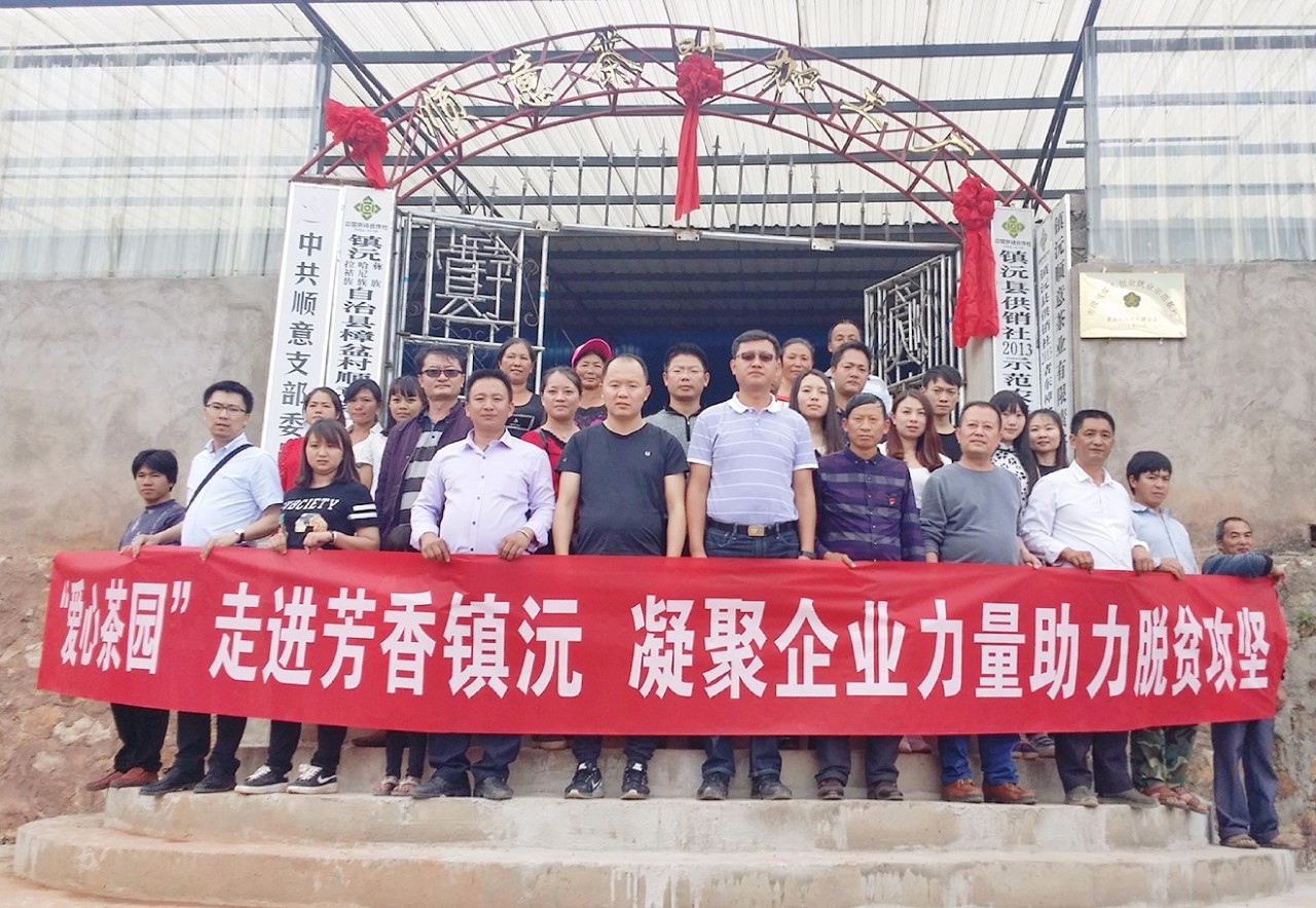 扶贫云南茶,云南茶叶今日热门