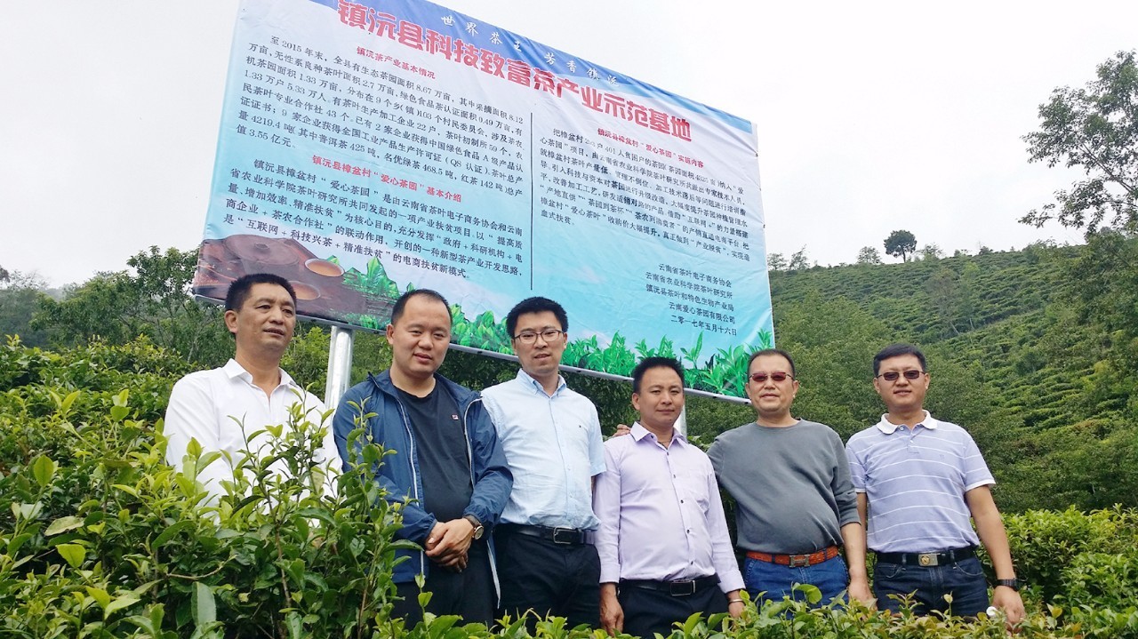 扶贫云南茶,云南茶叶今日热门