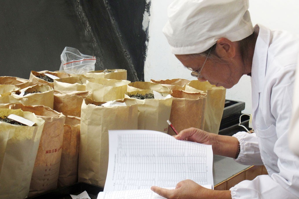 熟普洱醇香迷你小沱茶,下关沱茶川渝版熟普