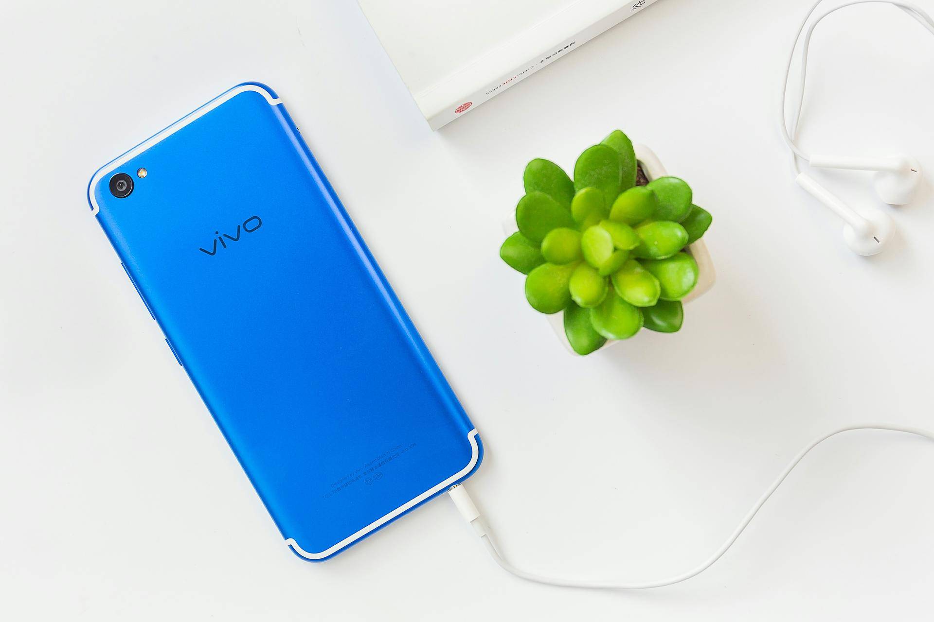 手机也分高，中，低！但能满足消费者的也许就只有vivo了