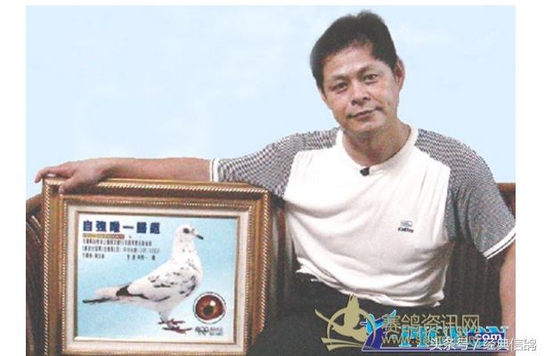 赛鸽大户,新乡赛鸽名家大户