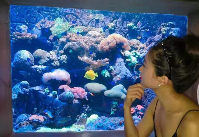 阿联酋阿布扎比和迪拜旅游,阿联酋阿布扎比深度游