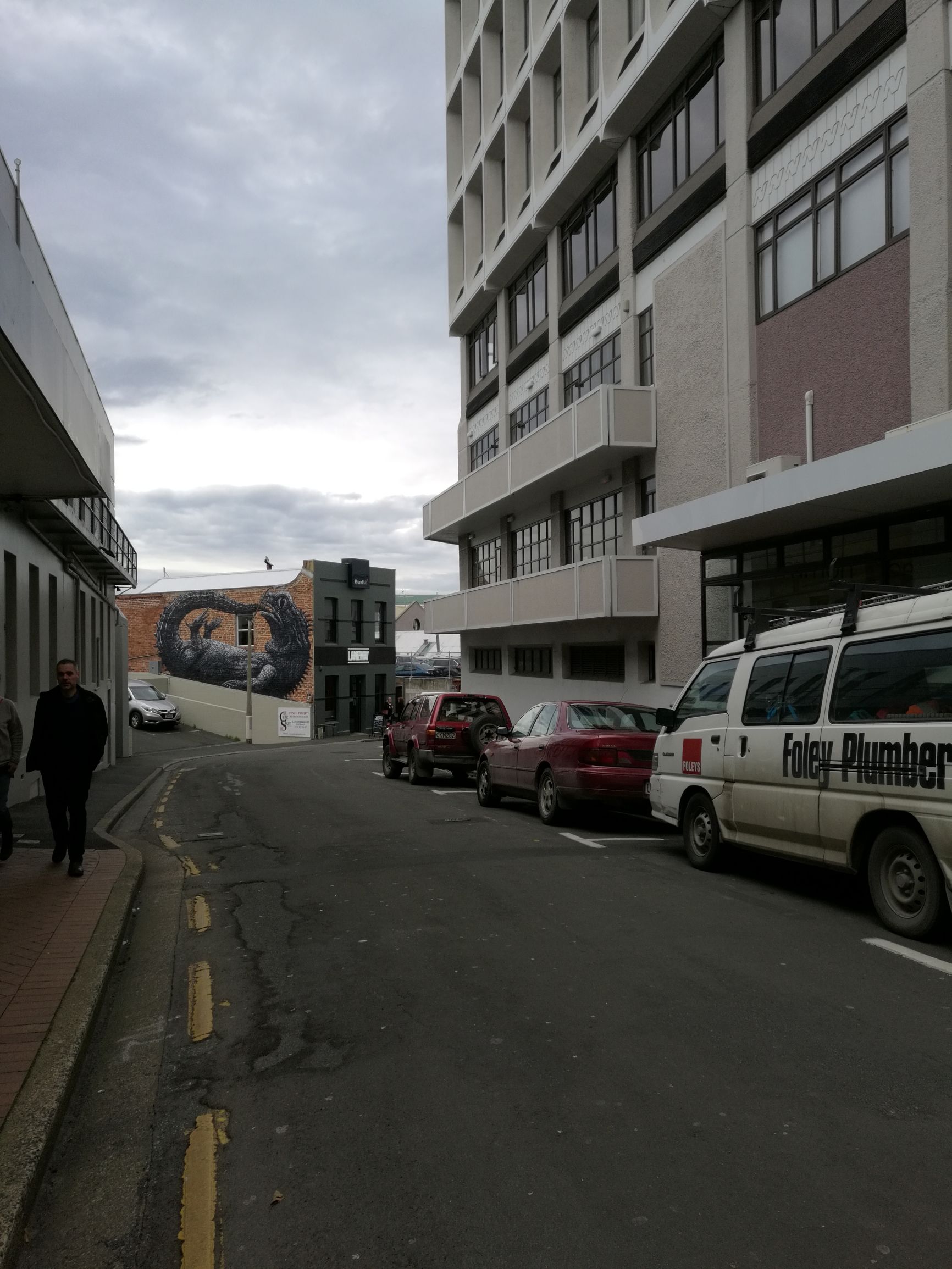 新西兰但尼丁城市介绍,新西兰哪个城市比较宜居