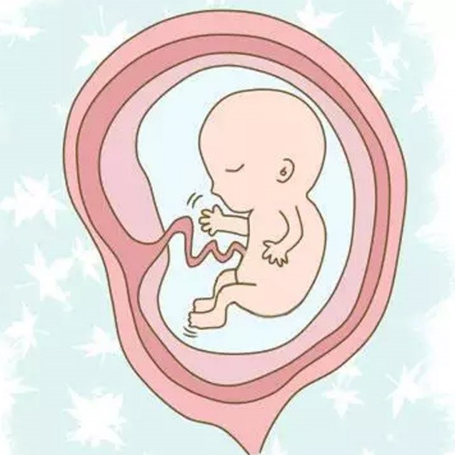 神奇的胎动是在做早操吗,神奇的胎动的瞬间