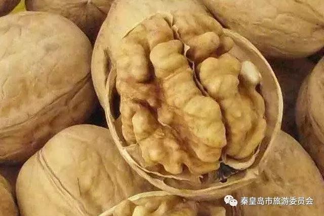 秦皇岛的特产有哪些,秦皇岛拿得出手的特产有哪些